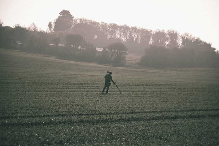 A person practices advanced gold prospecting with detectors while walking alone across a large, grassy field with trees in the background.