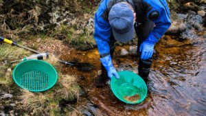 A person in blue gloves and waterproof gear pans for gold in a shallow stream, with green panning equipment and a Choosing the Right Gold Classifier guide beside them.