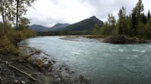 A wide river with clear, fast-moving water flows through a forested valley, surrounded by mountains and a cloudy sky—an inspiring scene that highlights the importance of environmental stewardship.