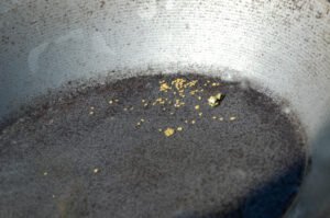 A metal pan containing small gold nuggets and gold dust scattered near the center, perfect for demonstrating efficient fine gold panning techniques.