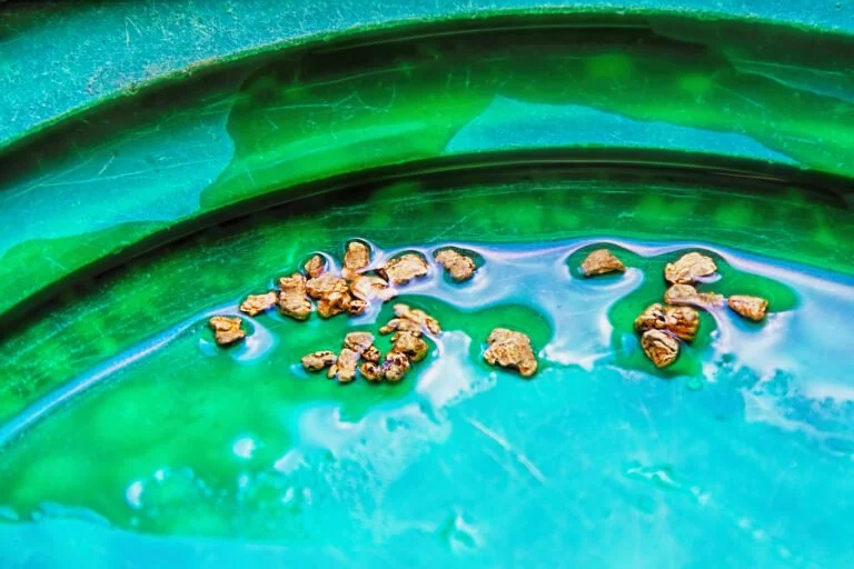 Small gold nuggets collected in a shallow pool of water on a green gold panning tray—perfect for getting started with gold panning and learning about the essential equipment for beginners.