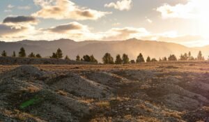 Read more about the article Prospecting with a Purpose: Gold Mining for Conservation 2025