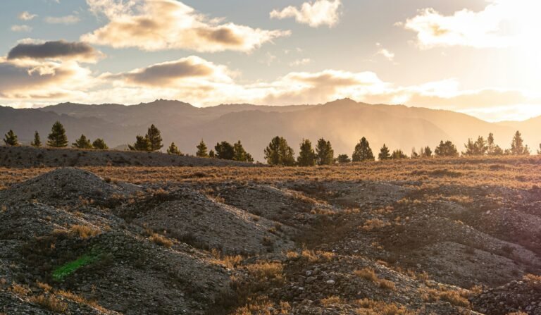 Rocky hills with sparse dry grass in the foreground, a line of pine trees, and distant mountains under a cloudy sky at sunset, highlight the importance of conservation in preserving these natural landscapes.
