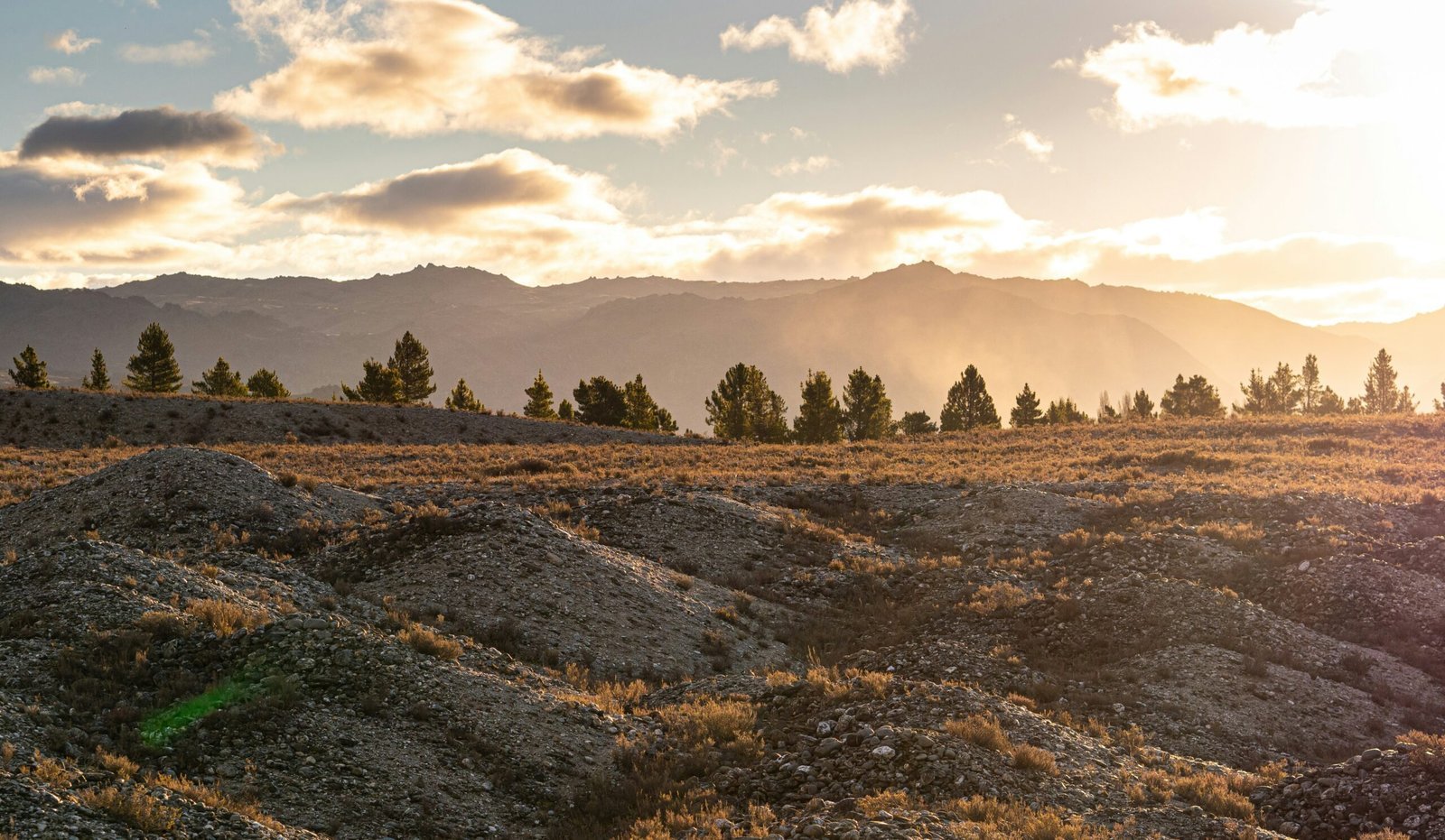 You are currently viewing Prospecting with a Purpose: Gold Mining for Conservation 2025
