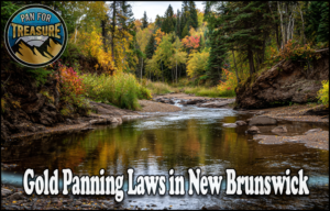 Read more about the article Gold Panning Laws in New Brunswick