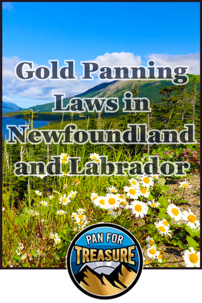 A scenic landscape with mountains, blue sky, and wildflowers illustrates Gold Panning Laws in Newfoundland and Labrador, with the title text and a "Pan for Treasure" logo at the bottom.