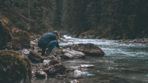Read more about the article Gold Panning for Beginners: Getting Started on the Right Foot
