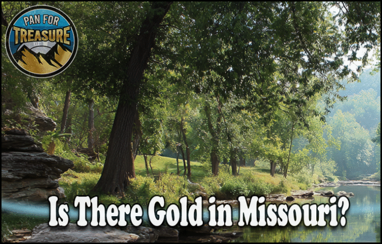 Is There Gold in Missouri A wooded riverbank scene features the "Pan for Treasure" logo with the question "Is there gold in Missouri?" prominently displayed at the bottom.