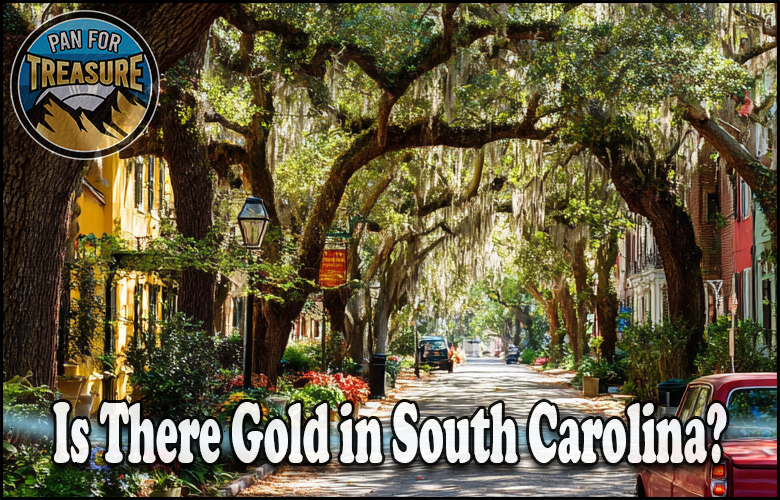 A tree-lined street in South Carolina with text asking, "Is there gold in South Carolina?" and a "Pan for Treasure" logo in the corner, inviting viewers to explore the state's hidden riches.