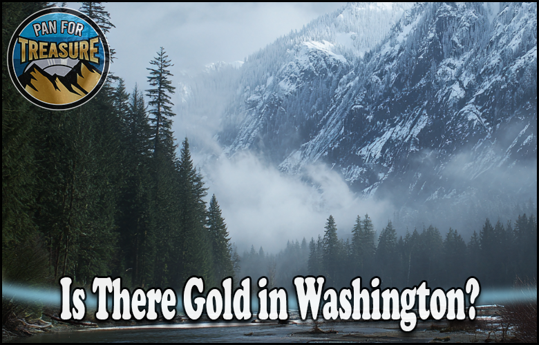 A misty forest and snow-covered mountains set the scene as the question "Is there gold in Washington?" appears, with a "Pan for Treasure" logo in the top left corner.