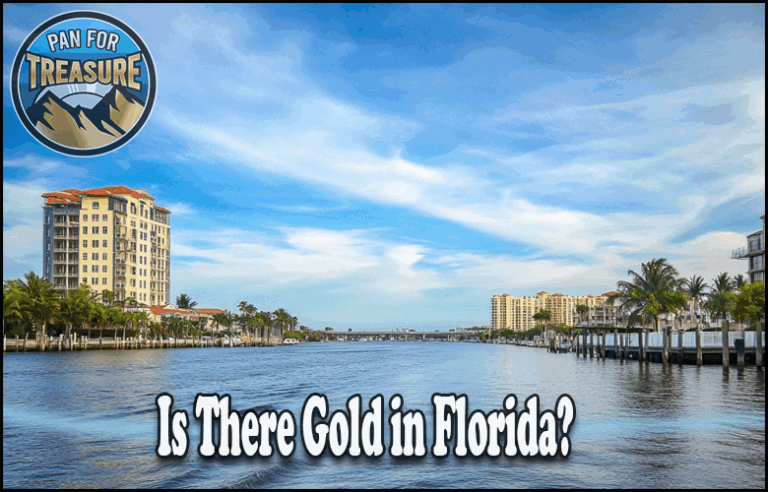 Is there Gold in Florida A canal lined with palm trees and buildings under a blue sky; text asks, “Is there gold in Florida?” with a treasure-themed “Pan for Treasure” logo featured in the top left corner.