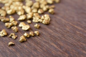 Read more about the article Nugget Hunting with a Guide: A Panning Tour Experience