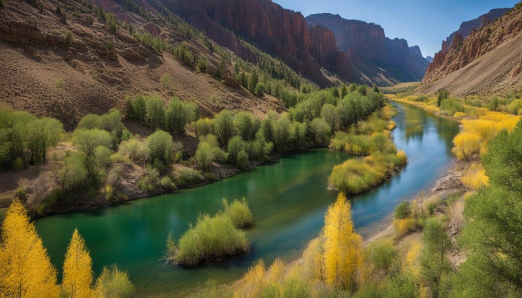 Placer gold in Colorado