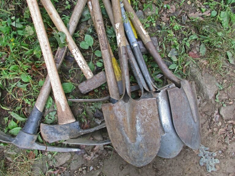 A group of worn shovels and pickaxes with wooden handles lies on the ground among grass and leaves, awaiting some much-needed shovel and pick maintenance.