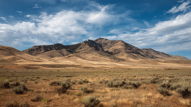 A dry, grassy plain with scattered shrubs stretches toward rugged, brown mountains under a partly cloudy blue sky, illustrating the landscapes where the role of BLM in gold mining shapes land management and resource use.