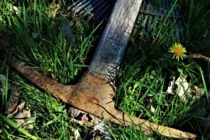 A rusty pickaxe with a wooden handle, commonly used as one of the picks in prospecting, lies on green grass next to a yellow dandelion and scattered leaves.
