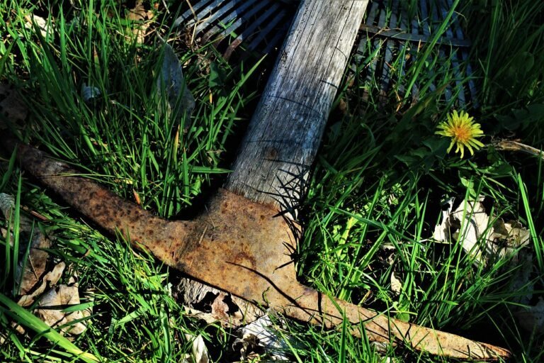 A rusty pickaxe with a wooden handle, commonly used as one of the picks in prospecting, lies on green grass next to a yellow dandelion and scattered leaves.