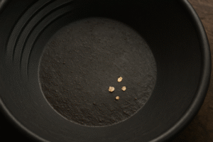 Read more about the article Tips for Finding Your First Gold Flakes: A Beginner’s Guide
