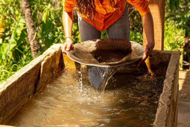 A person panning for gold in a water trough, holding a metal pan as water flows out, surrounded by greenery—a glimpse into gemstone formation in gold-rich environments.